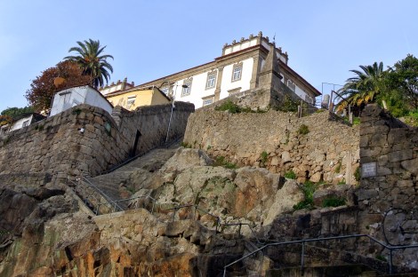 bandeirinha da saude